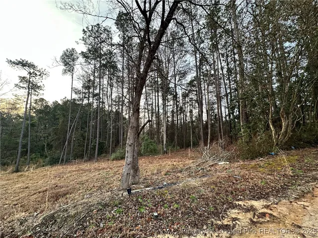 a backyard of a house with lots of trees