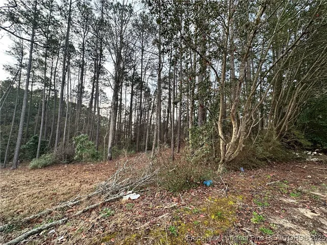 a view of backyard with green space
