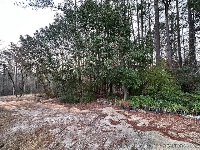 a view of outdoor space with trees