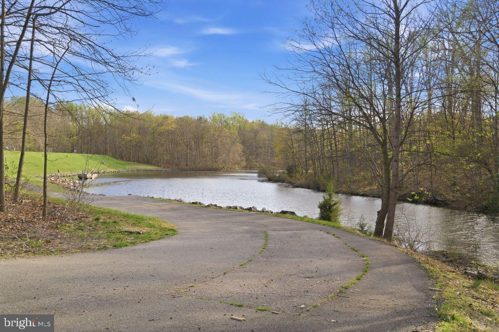 9118 Galbreth Court Springfield, VA 22153 - Photo 42 of 43