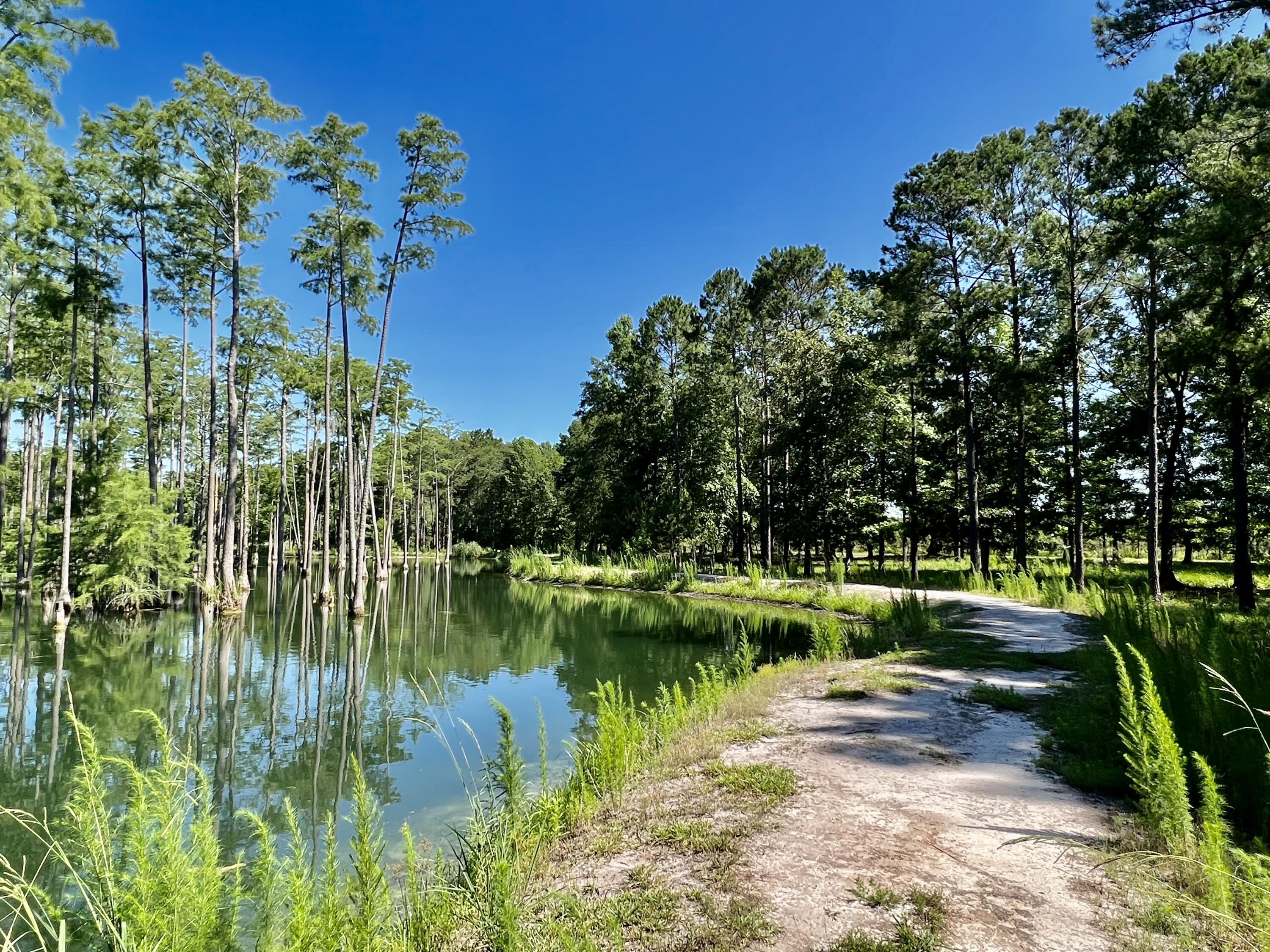 3199 Prince Williams Road Brunson, SC 29911 - Photo 8 of 63 55373B55-8F59-49CE-ADB2-79C0462E5E59