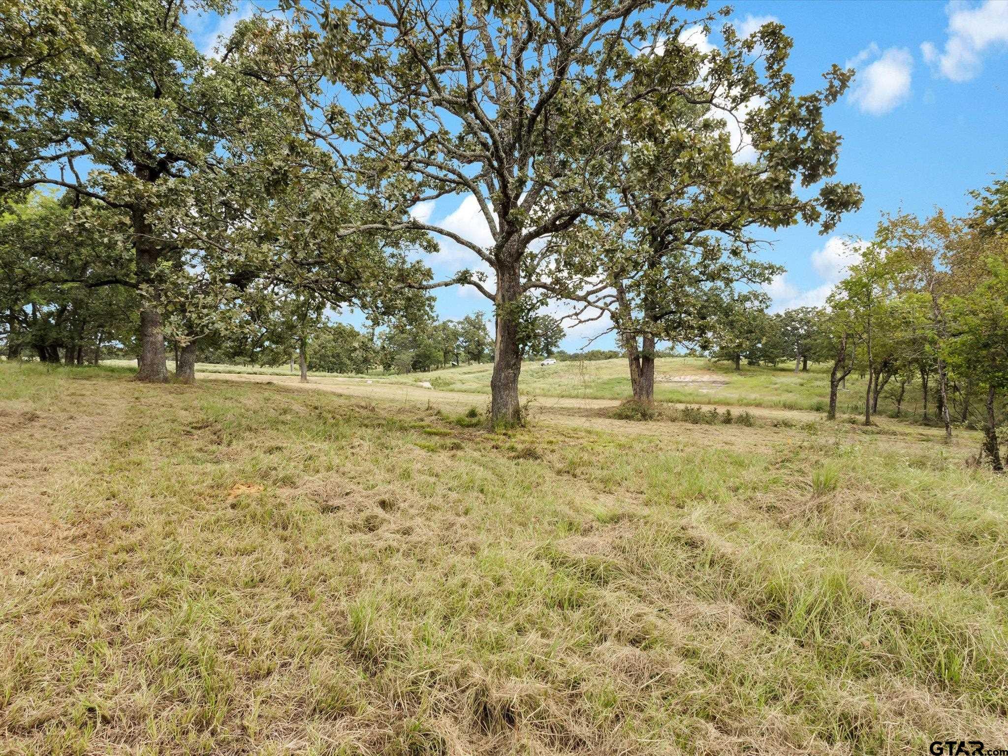 Tbd Tbd Anglers Point Emory, TX 75440 - Photo 11 of 27