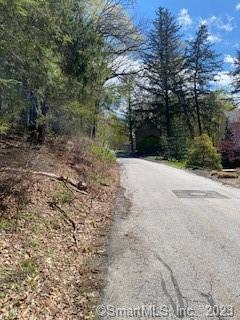 0 Old Colony Road Norfolk, CT 06058 - Photo 2 of 6 a view of a yard with trees