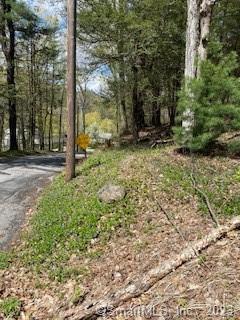 0 Old Colony Road Norfolk, CT 06058 - Photo 3 of 6 a view of a backyard