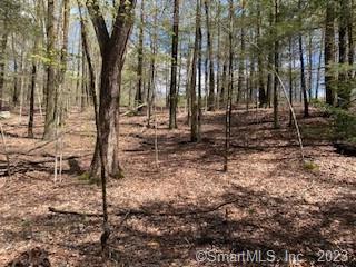 0 Old Colony Road Norfolk, CT 06058 - Photo 4 of 6 a backyard of a house with lots of green space