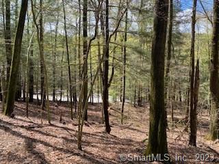 0 Old Colony Road Norfolk, CT 06058 - Photo 5 of 6 a view of outdoor space