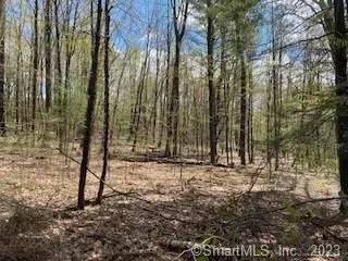 a view of a yard with trees