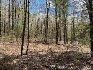 0 Old Colony Road Norfolk, CT 06058 - Photo 6 of 6 a view of a yard with trees