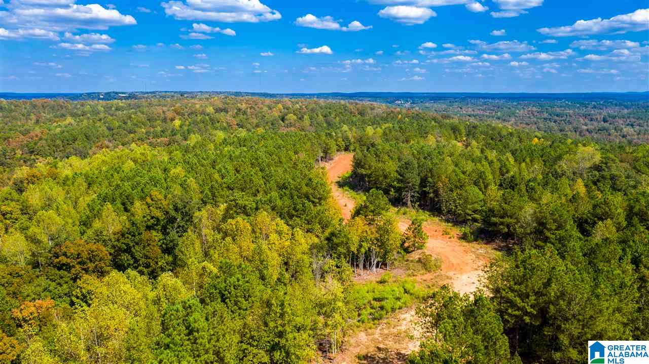 0 County Road 297 Cullman, AL 35057 - Photo 10 of 48