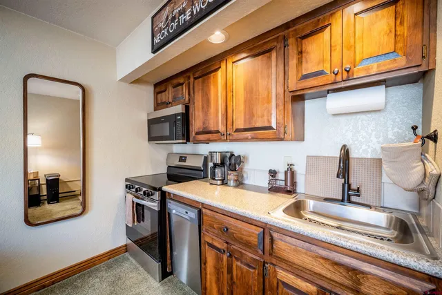 $224,900 | 50827 Highway 550, Unit 309, Durango, CO 81301