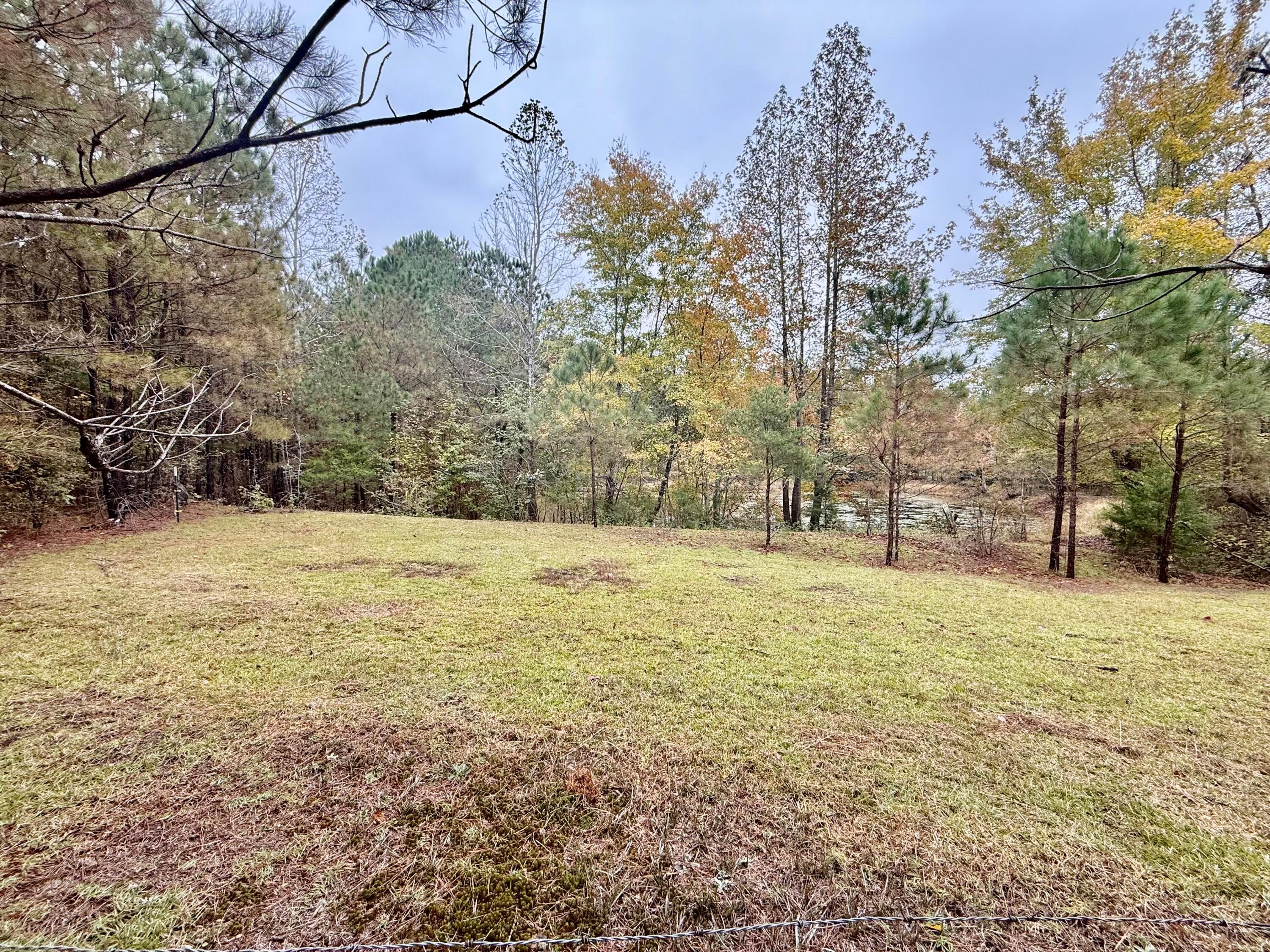 62 Co Road Haleyville, AL 35565 - Photo 3 of 32 IMG_7805