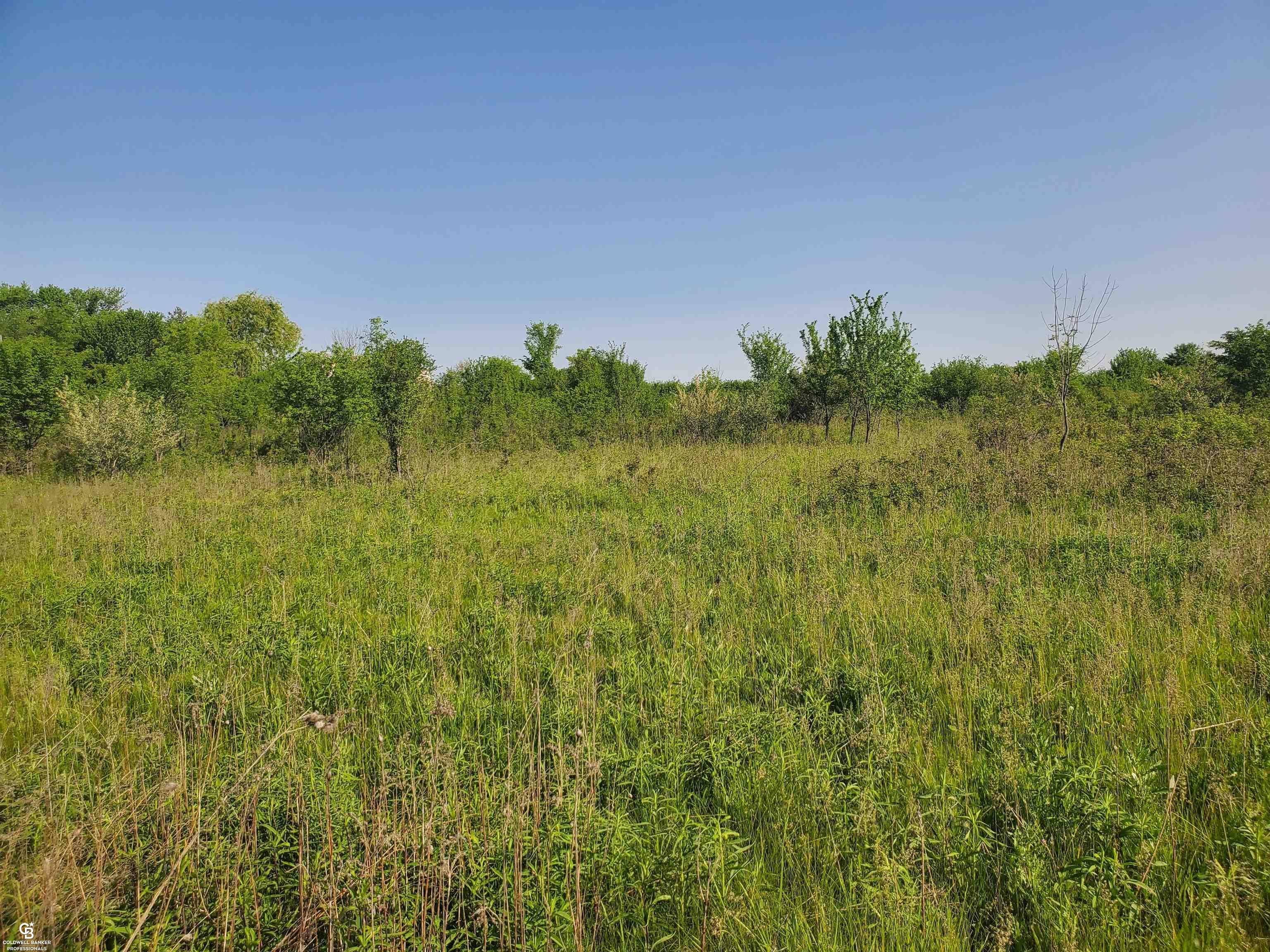 Jeddo Rd Ville Yale, MI 48097 - Photo 5 of 8