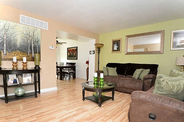 723 South Raven Road Shorewood, IL 60404 - Photo 2 of 15