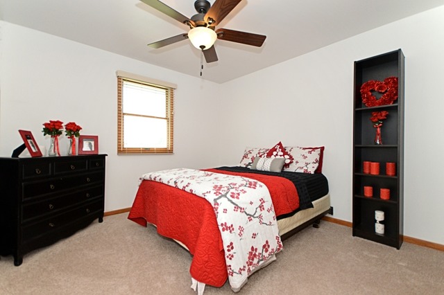 723 South Raven Road Shorewood, IL 60404 - Photo 10 of 15