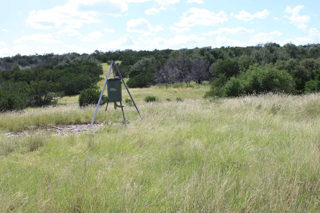a view of a lake with a mountain in the background