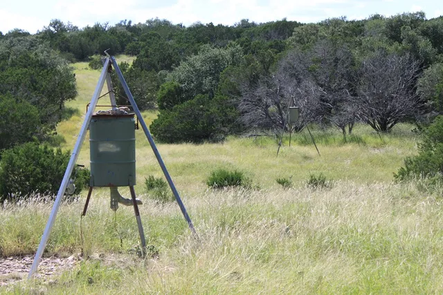 a backyard of a house with lots of green space and trees