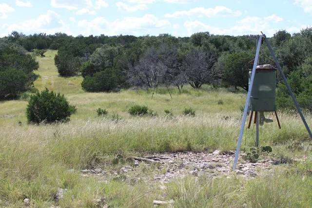 a view of a lake from a yard