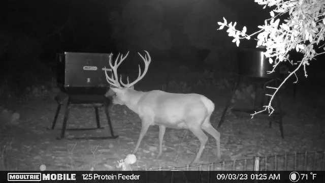 a view of furniture in wooden floor