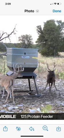 a view of a swimming pool and lounge chair