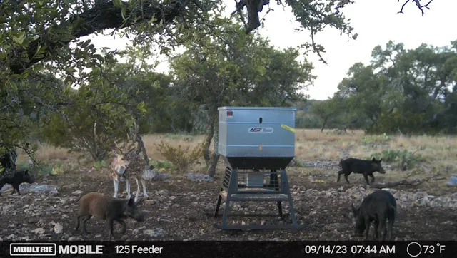a view of water heater