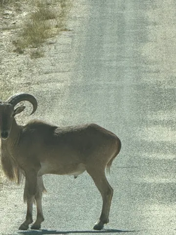 $360,000 | 0 Dominion Road, Rocksprings, TX 78880