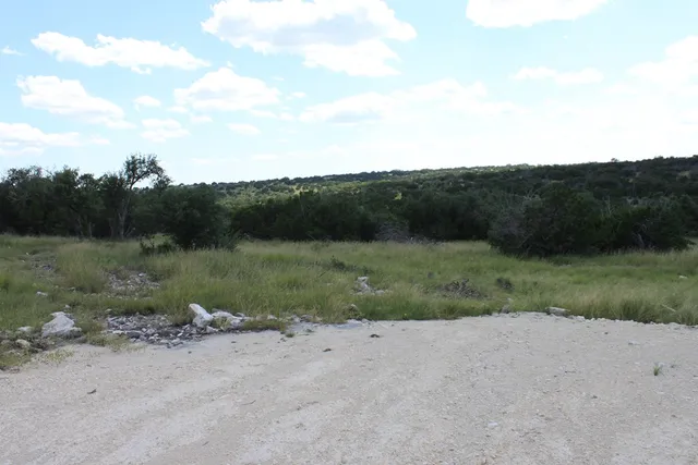 a view of a field with a tree in it