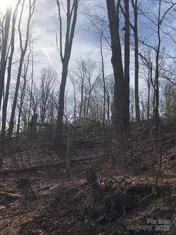 $85,000 | 0 Marshall Ridge Road, Unit 78, Hendersonville, NC 28792