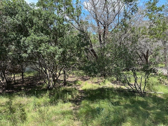 533 Squirrel Bend Uvalde, TX 78801 - Photo 5 of 19 a view of a garden
