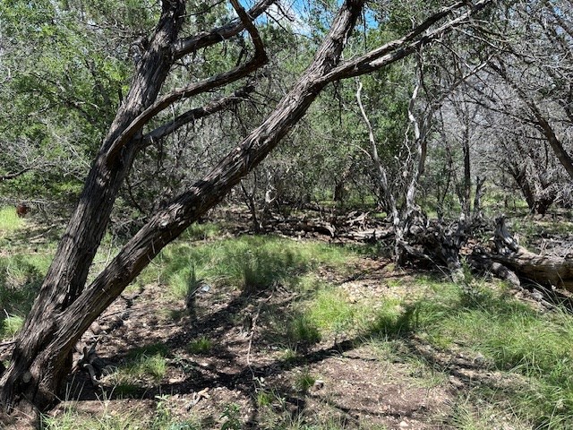 533 Squirrel Bend Uvalde, TX 78801 - Photo 7 of 19 a big yard with lots of green space