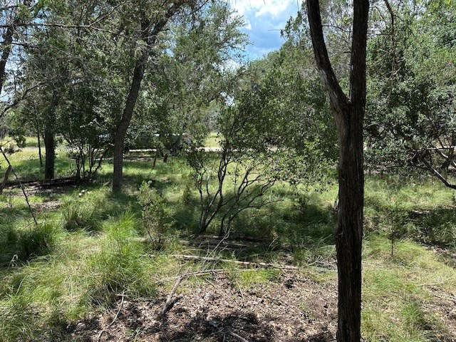 533 Squirrel Bend Uvalde, TX 78801 - Photo 9 of 19 a view of a forest filled with trees