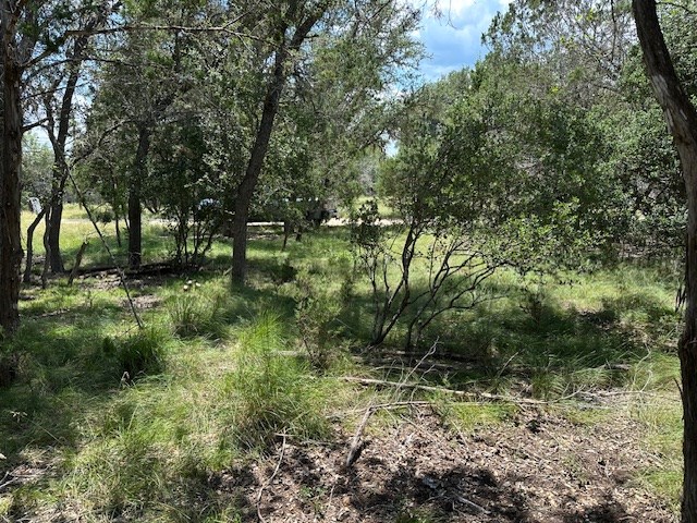 533 Squirrel Bend Uvalde, TX 78801 - Photo 10 of 19 a big yard with lots of green space and deers