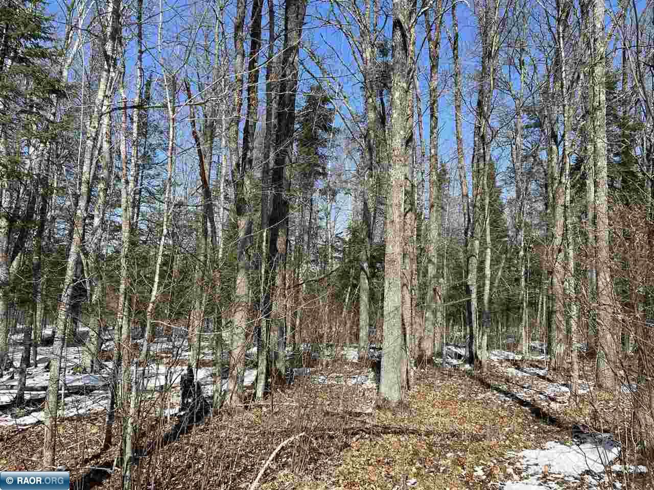 Lot 6 Rippling Oak Ridge River Pengilly, MN 55775 - Photo 5 of 6