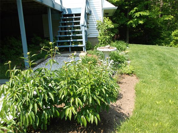 10 Old Farm Road Belchertown, MA 01007 - Photo 23 of 26 Gallery Image 23