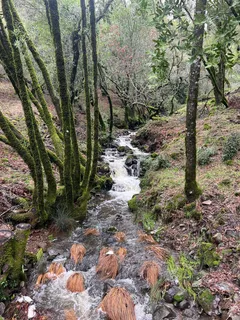 $6,498,000 | 5340 Grove Street, Sonoma, CA 95476