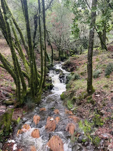 $6,498,000 | 5340 Grove Street, Sonoma, CA 95476