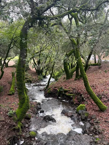 $6,498,000 | 5340 Grove Street, Sonoma, CA 95476