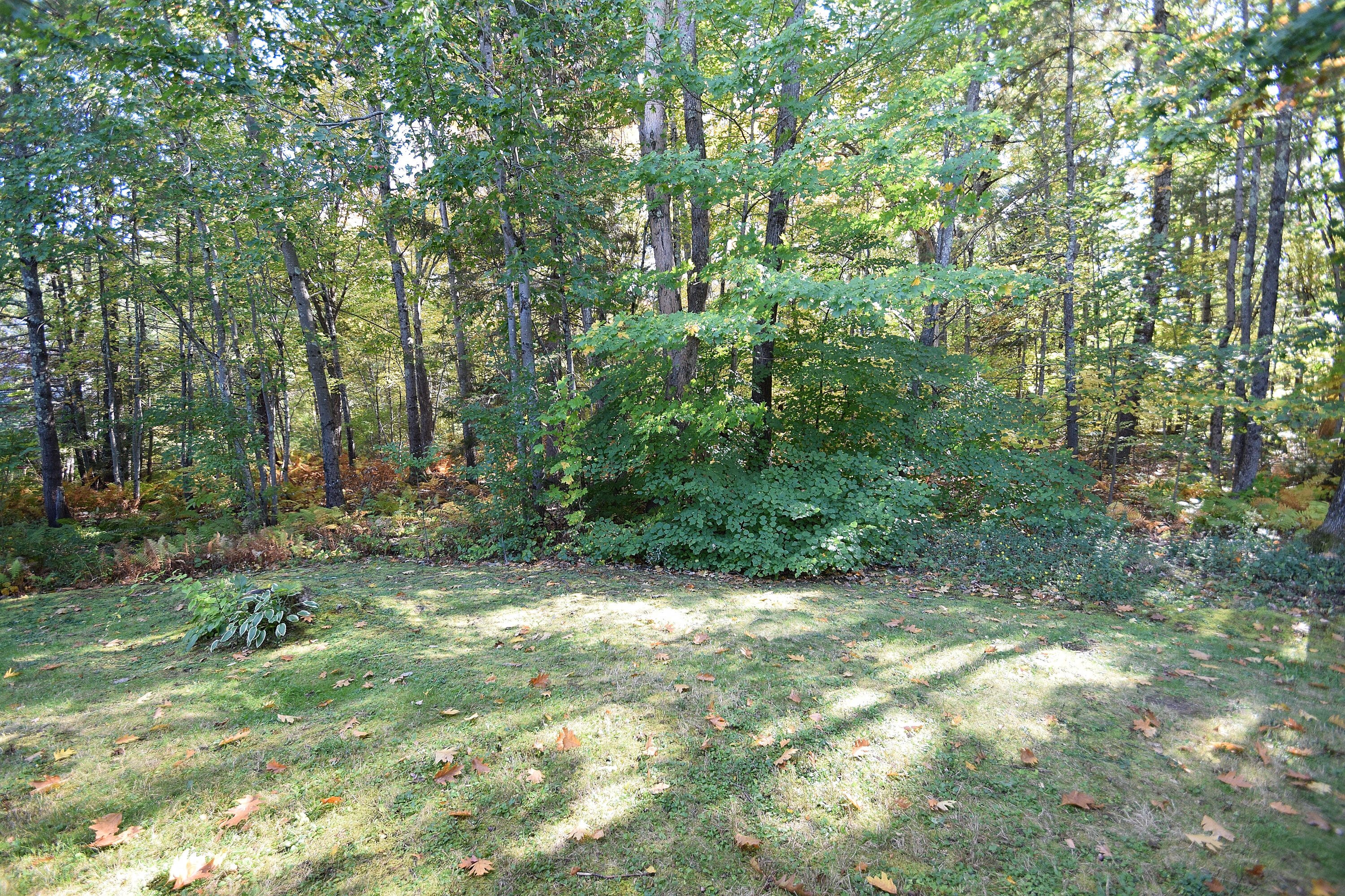 29 Old Orchard Road, Unit 5 Saco, ME 04072 - Photo 9 of 41 DSC_0132