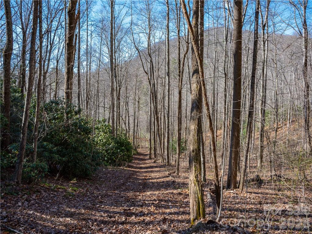 Tbd Long Branch Road Swannanoa, NC 28778 - Photo 4 of 18