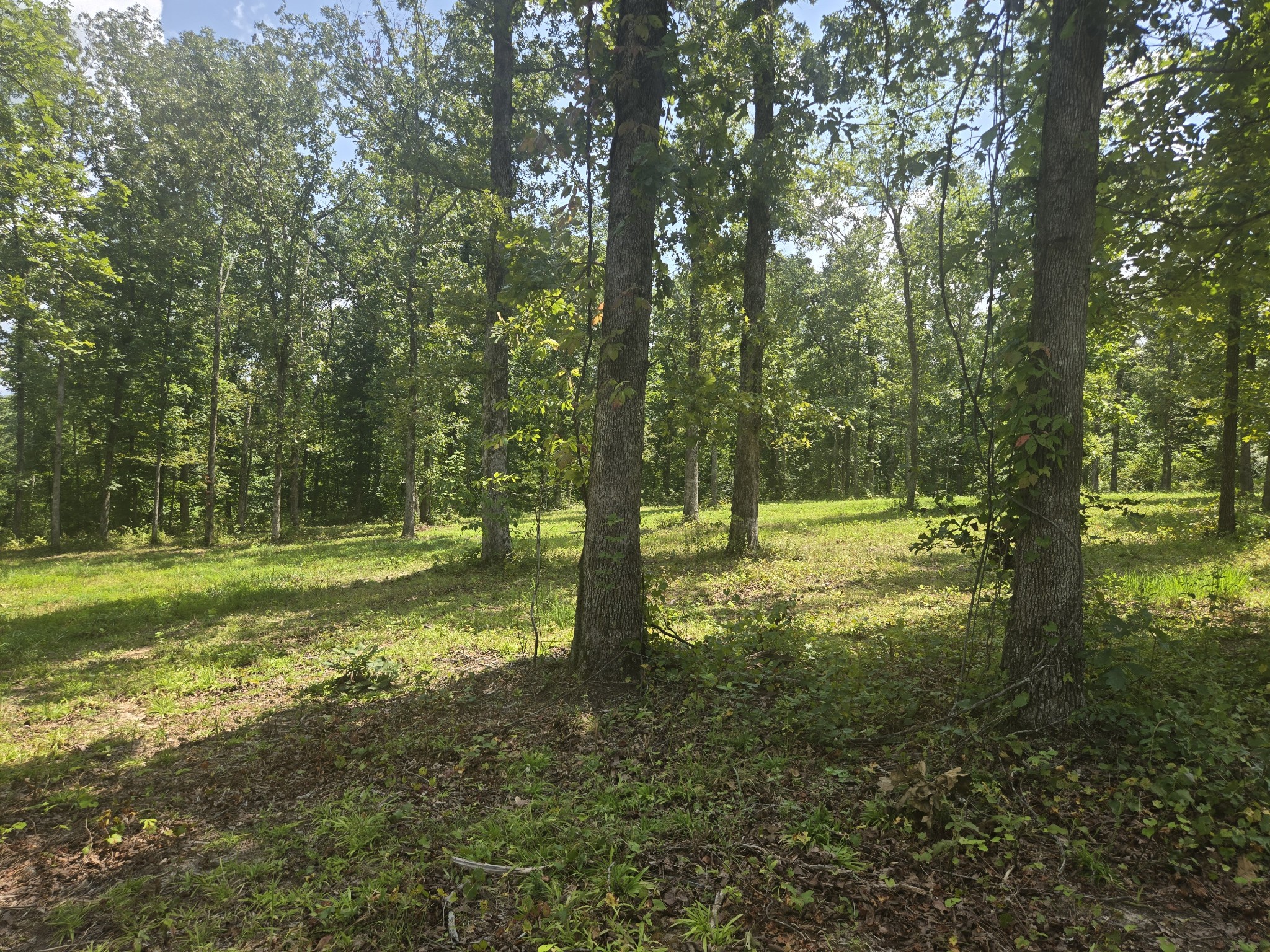 655 Dyer Road Hurricane Mills, TN 37078 - Photo 2 of 10 Gallery Image 2
