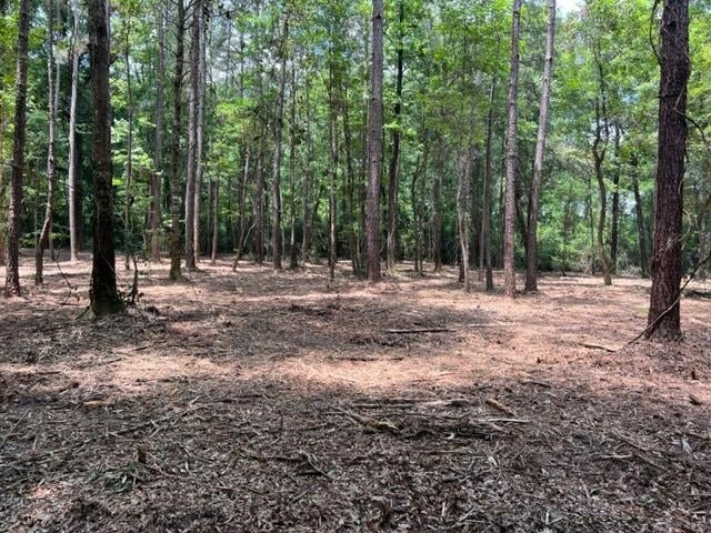 23.5-ac 23.5-ac Rosin Ridge Road Red Level, AL 36474 - Photo 32 of 37 Gallery Image 32