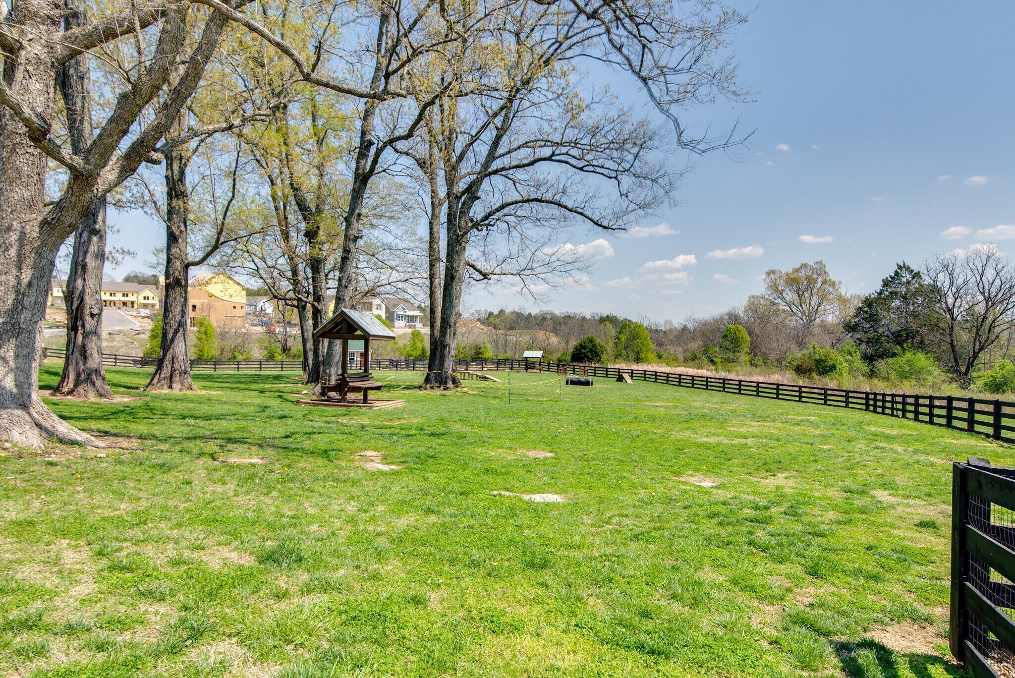 3106 Patcham Drive Nolensville, TN 37135 - Photo 21 of 26 a view of a park with large trees
