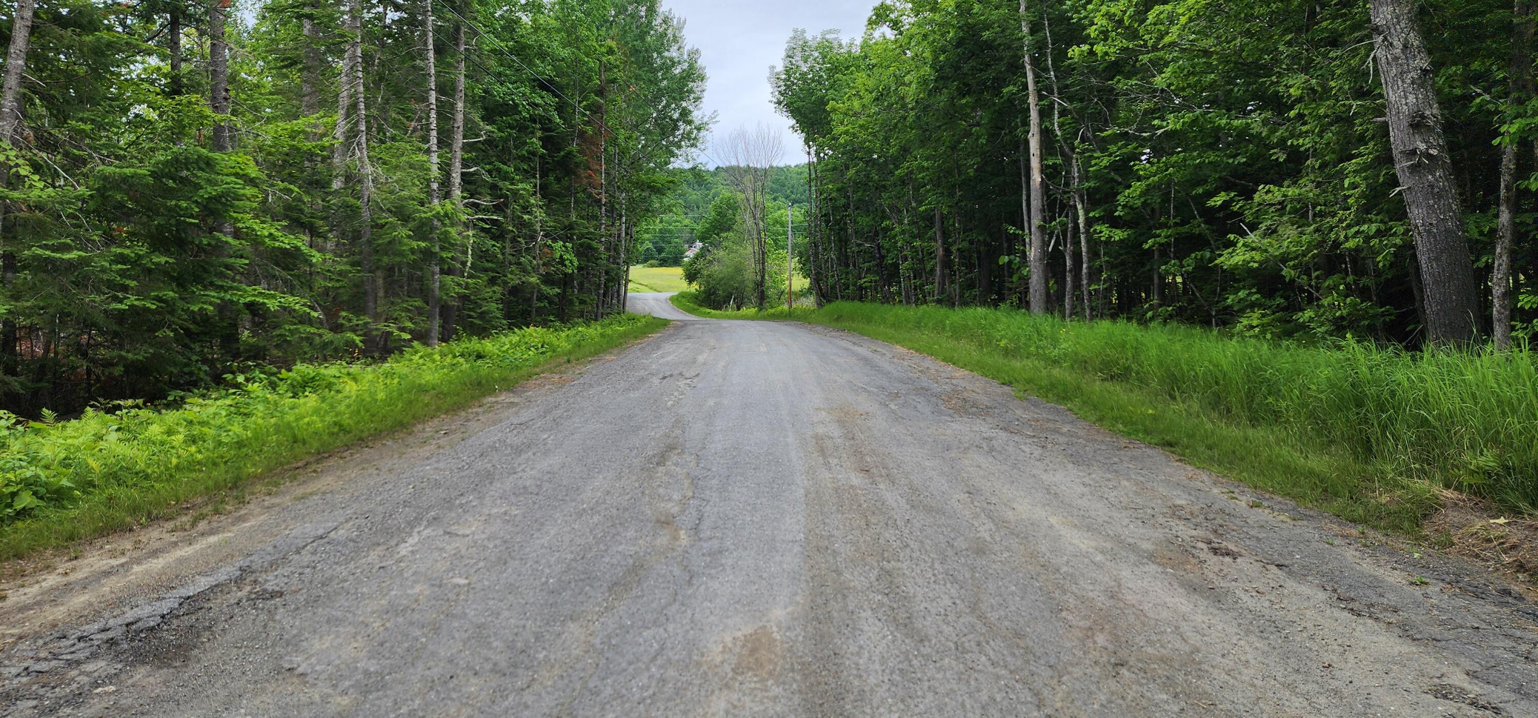 Off Brooks Road Island Falls, ME 04747 - Photo 6 of 19 20240617_124741