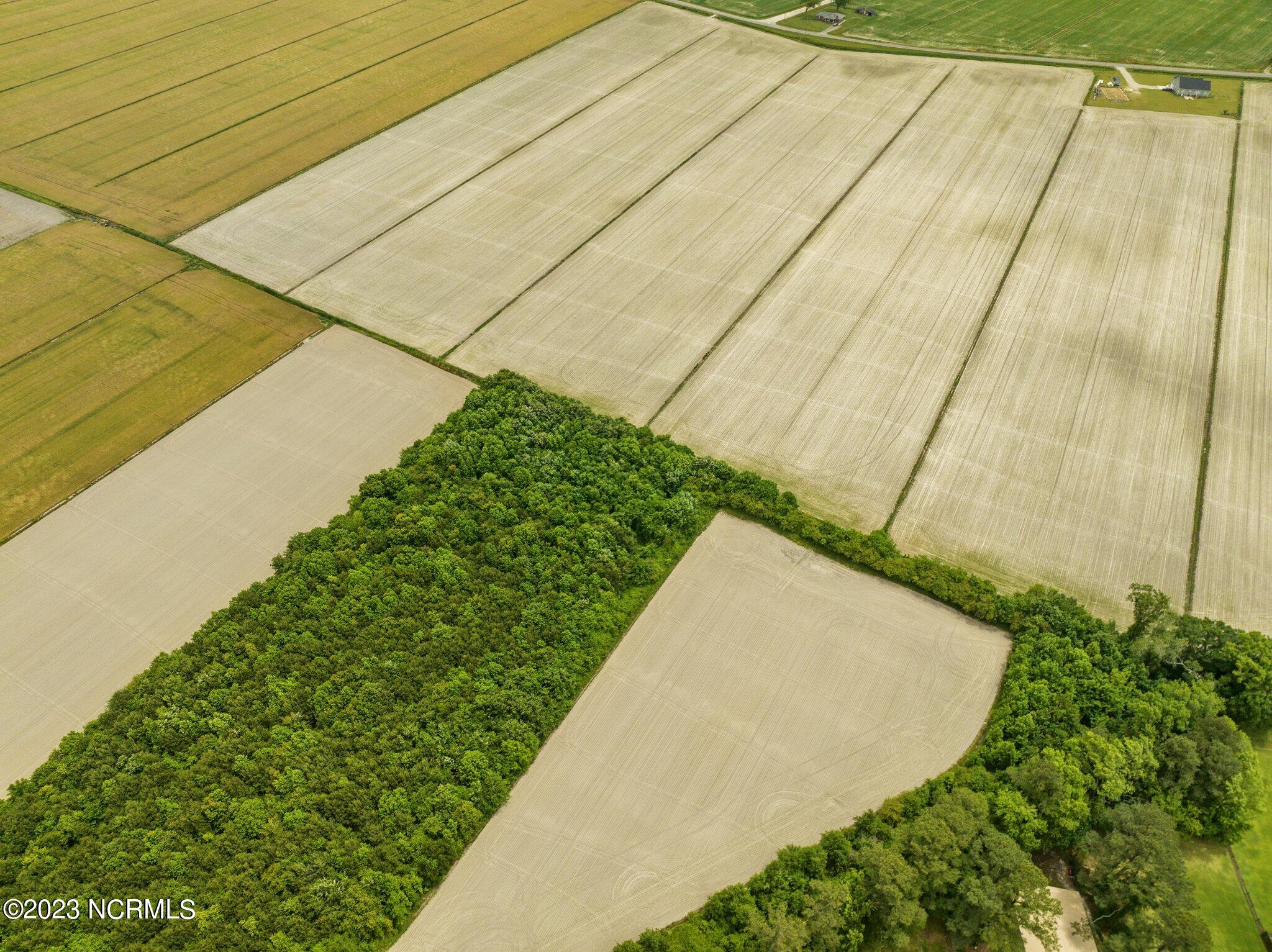 0 Body Road Elizabeth City, NC 27909 - Photo 6 of 18 7-web-or-mls-DJI_0171