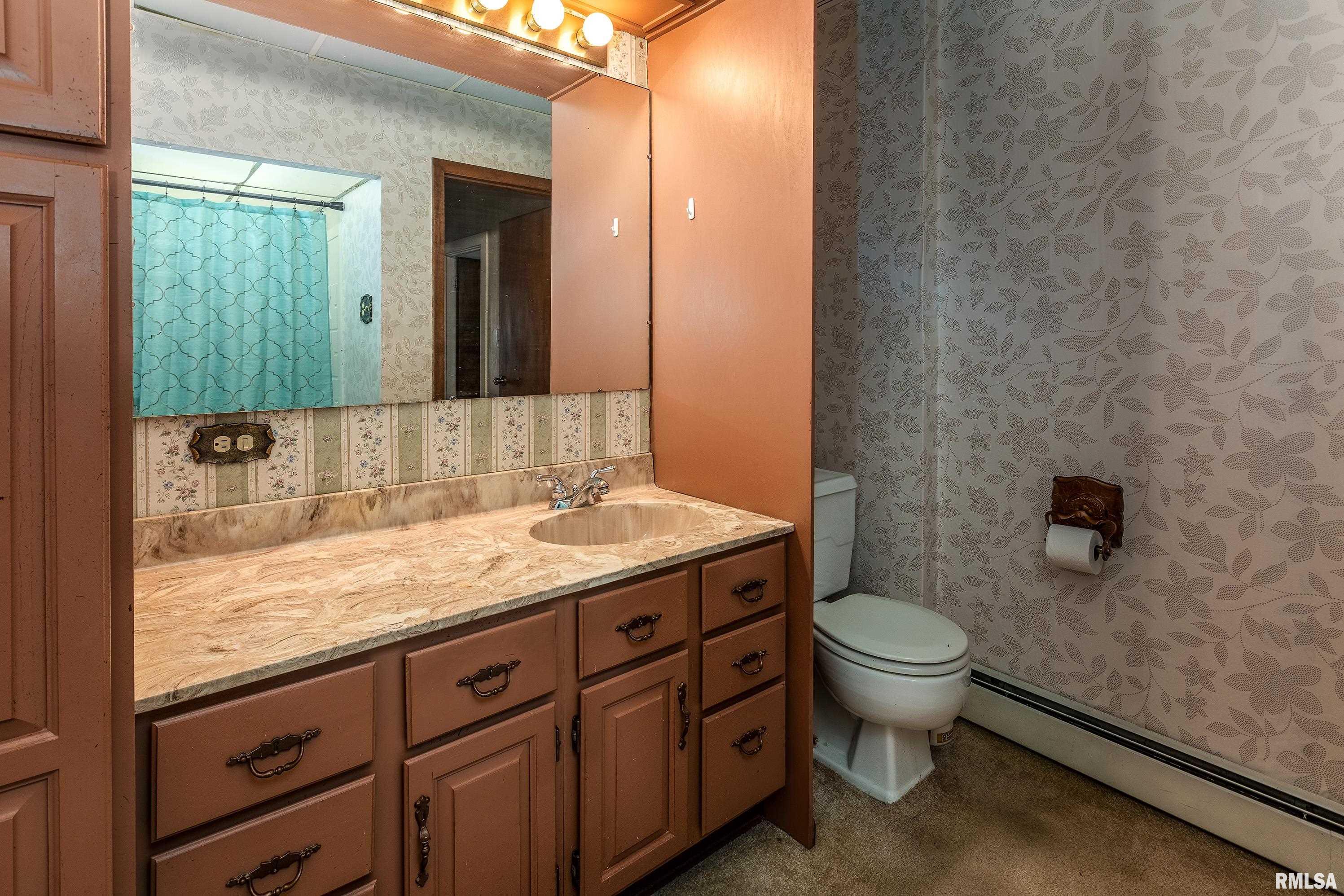 2120 Logan Street Murphysboro, IL 62966 - Photo 19 of 30