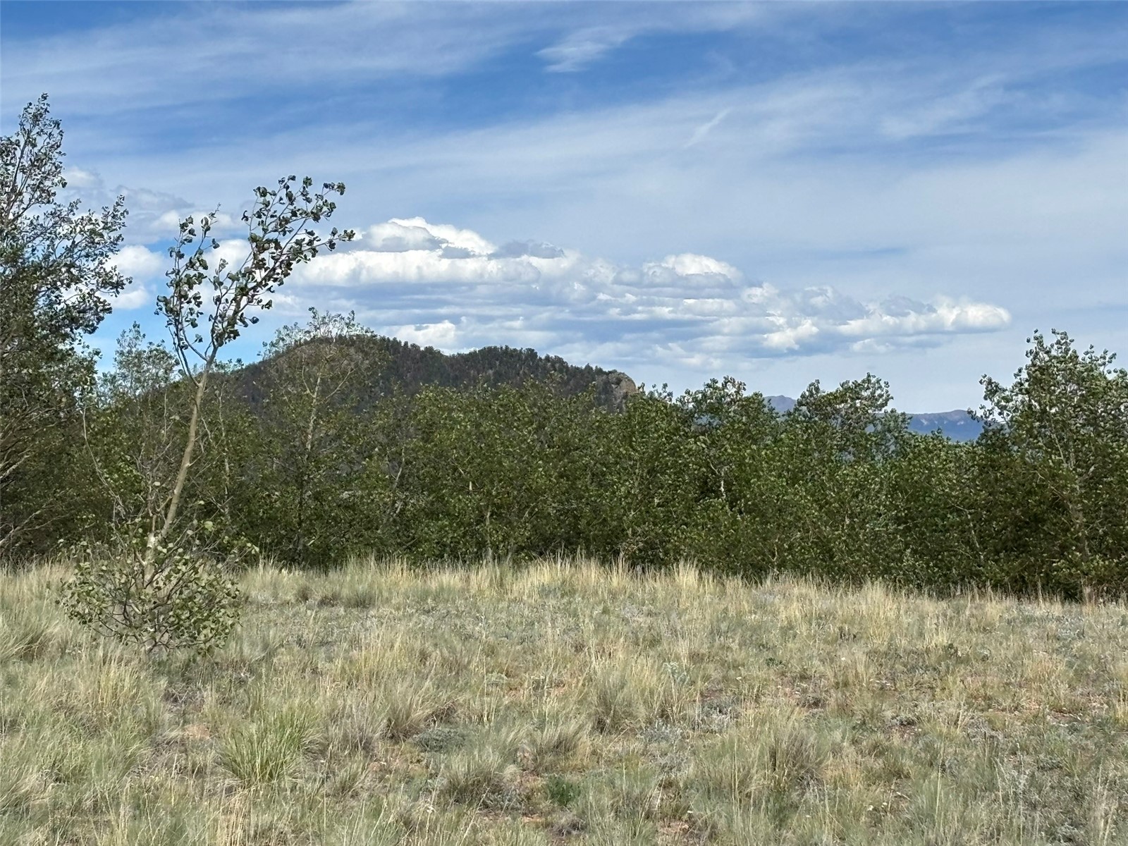 135 Hawk Way Como, CO 80432 - Photo 9 of 22 a view of a lake in middle of forest