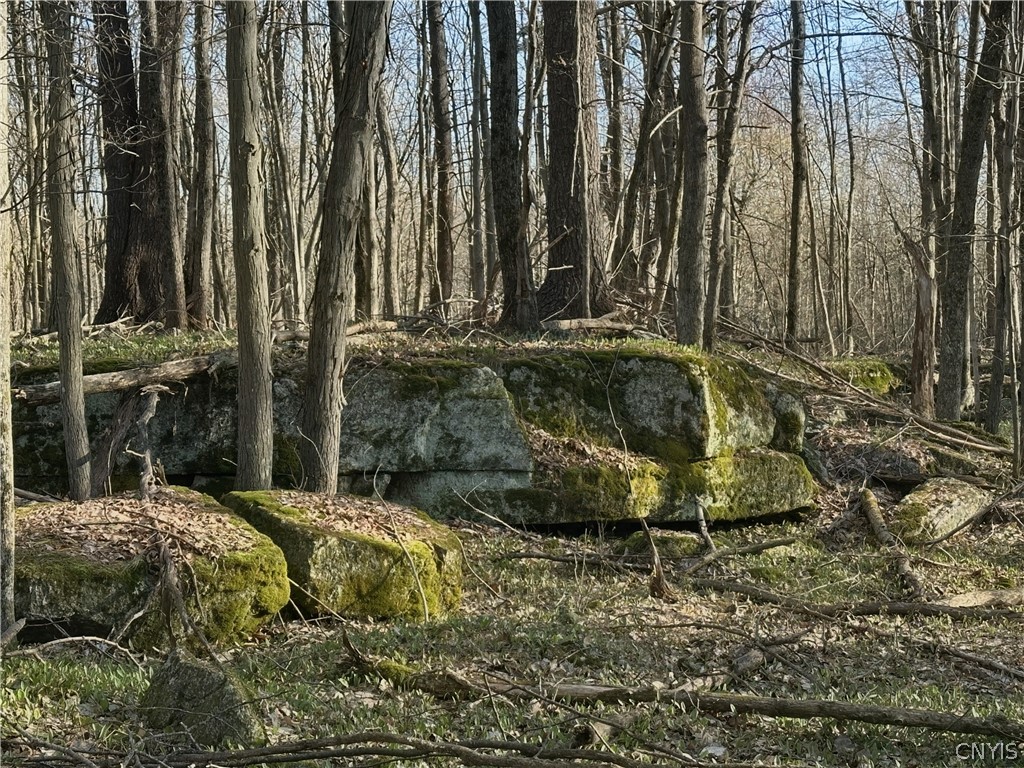 0 Lead Mine Road Redwood, NY 13679 - Photo 1 of 5