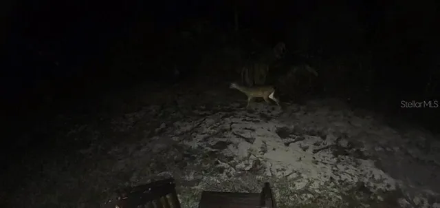 a view of a yard with plants and wooden fence