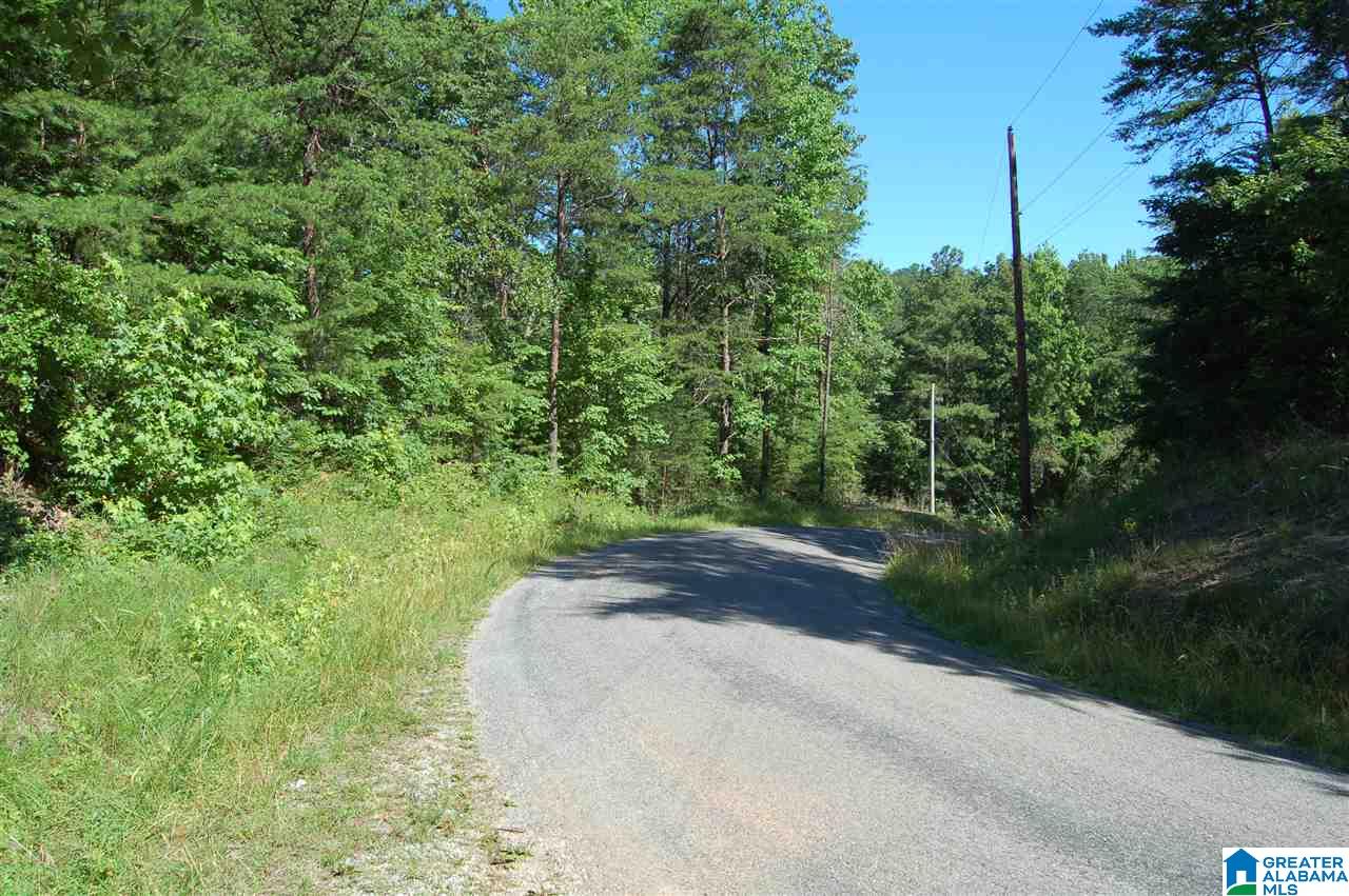 49-acres Chandler Mountain Road, Unit 1 Steele, AL 35987 - Photo 11 of 23