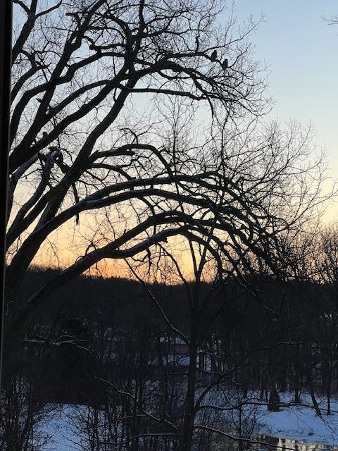 1362 Riverside Drive, Unit 1362 River Falls, WI 54022 - Photo 56 of 61