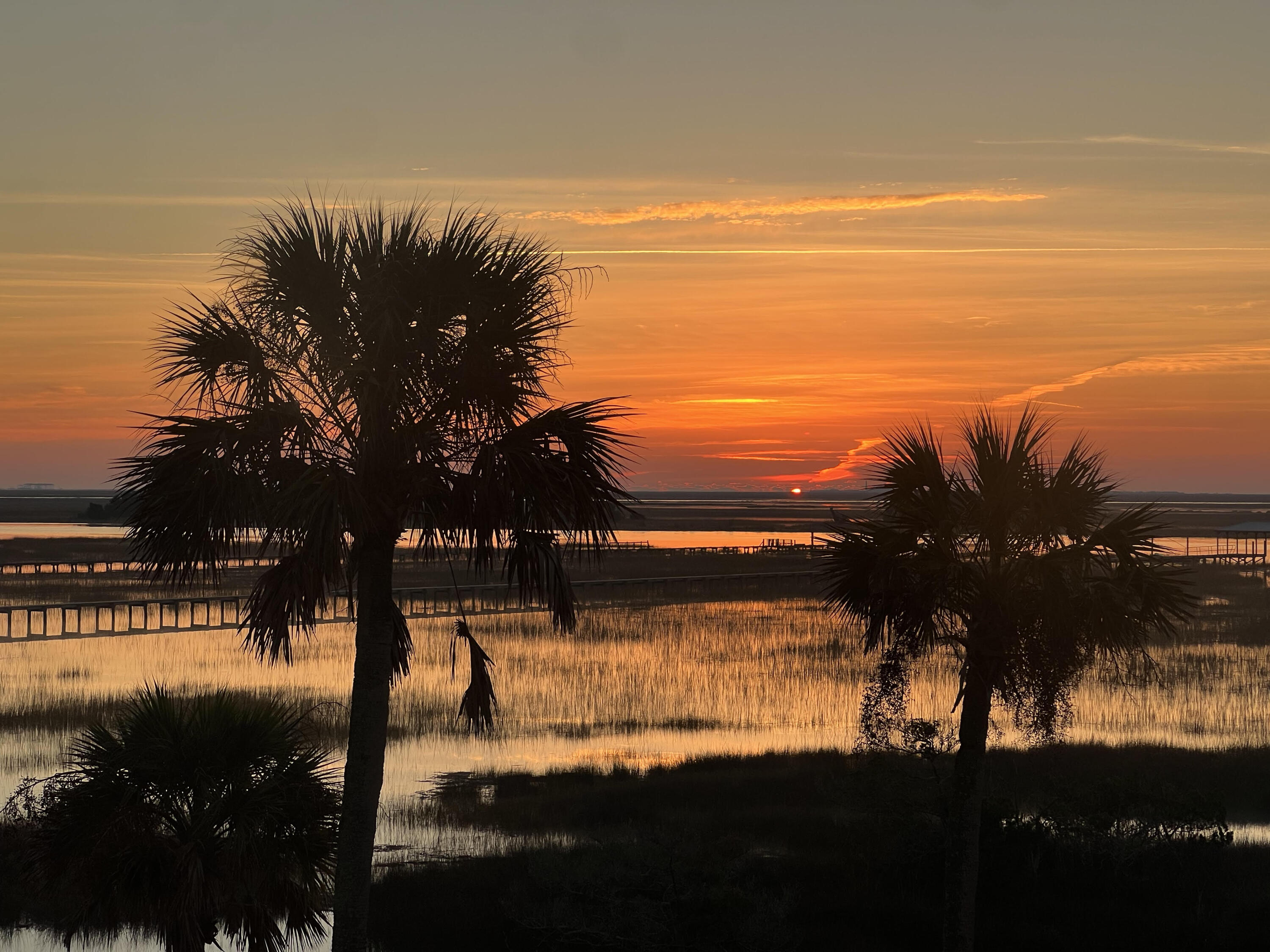 9715 2 Pines Road McClellanville, SC 29458 - Photo 3 of 55 Sunrise